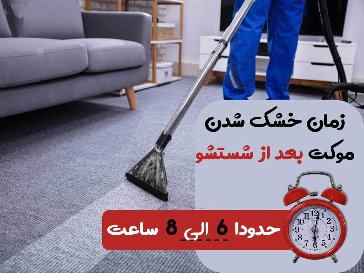 carpet washing 27
