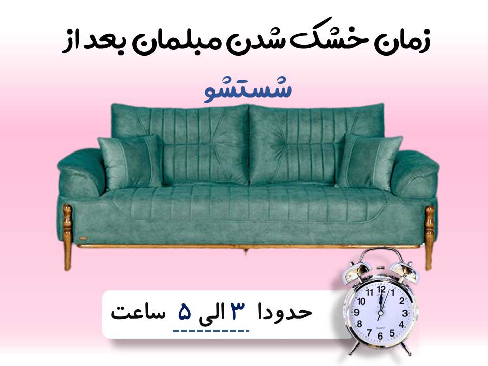 sofa washing 2